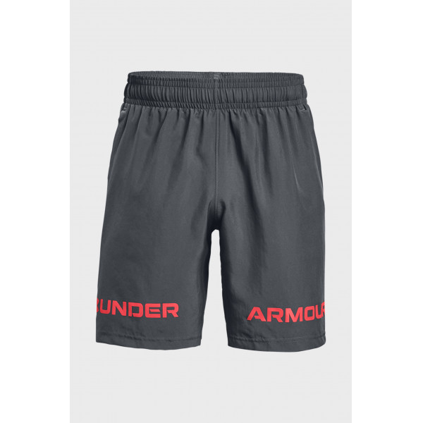 1361433-012 Under Armour short