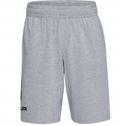 Under Armour short