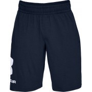 1329300-408 Under Armour short