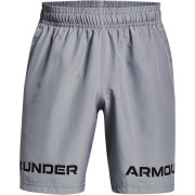 Under Armour short