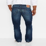 29990-0145 Levis Farmer 504