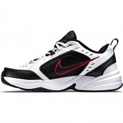 415445-101 Nike Air Monarch IV