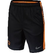 848427-065 Nike foci short