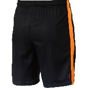 848427-065 Nike foci short