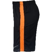 848427-065 Nike foci short