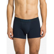 951007001-824 Levis Boxer