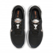 DC8184-007 Wmns Nike Renew Ride 3