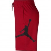 aq3115-687 Nike Jordan short