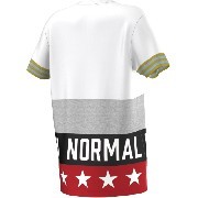 ay7146 Adidas póló