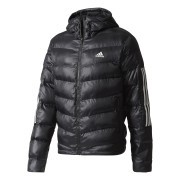 bq6800 Adidas jacket