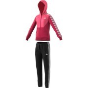 cf1248 Adidas jogging