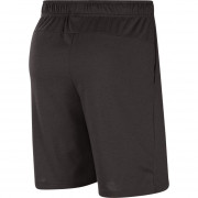 cj2044-032 Nike short