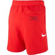 cj4882-657 Nike short