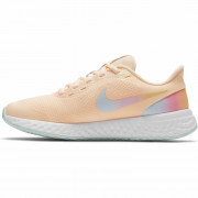 Nike Revolution