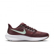 dh4072-600 Wmns Nike Air Zoom Pegasus