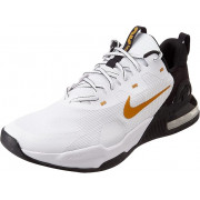 dm0829-101 Nike Air Alpha Trainer 5