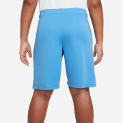 dm8532-412 Nike short