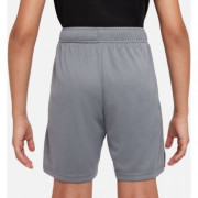 dm8537-084 Nike short