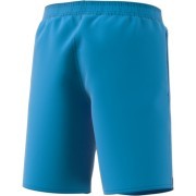dq2968 Adidas short