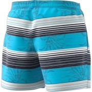 dq2998 Adidas short