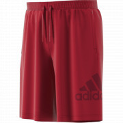 eb5261 Adidas short