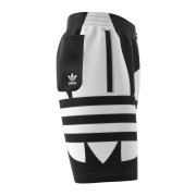 fm9900 Adidas short