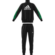 Adidas jogging